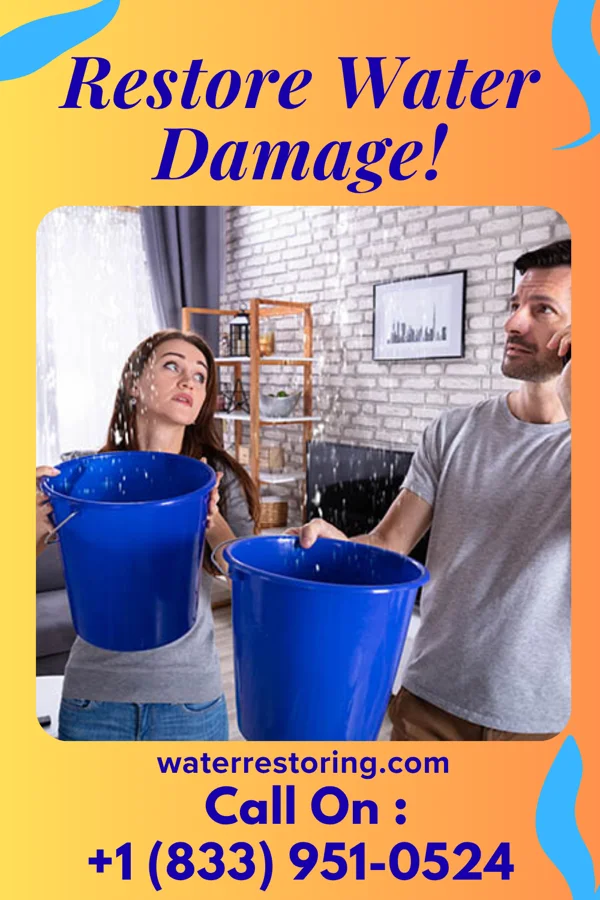 water restoration Allied Damage Restoration Group State Line City