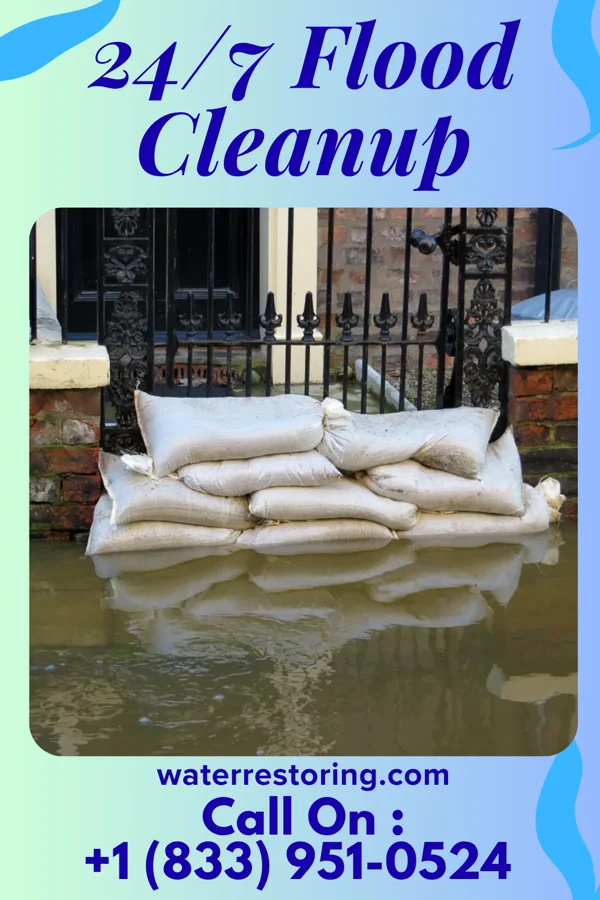 24/7 Flood Cleanup in State Line City, IN