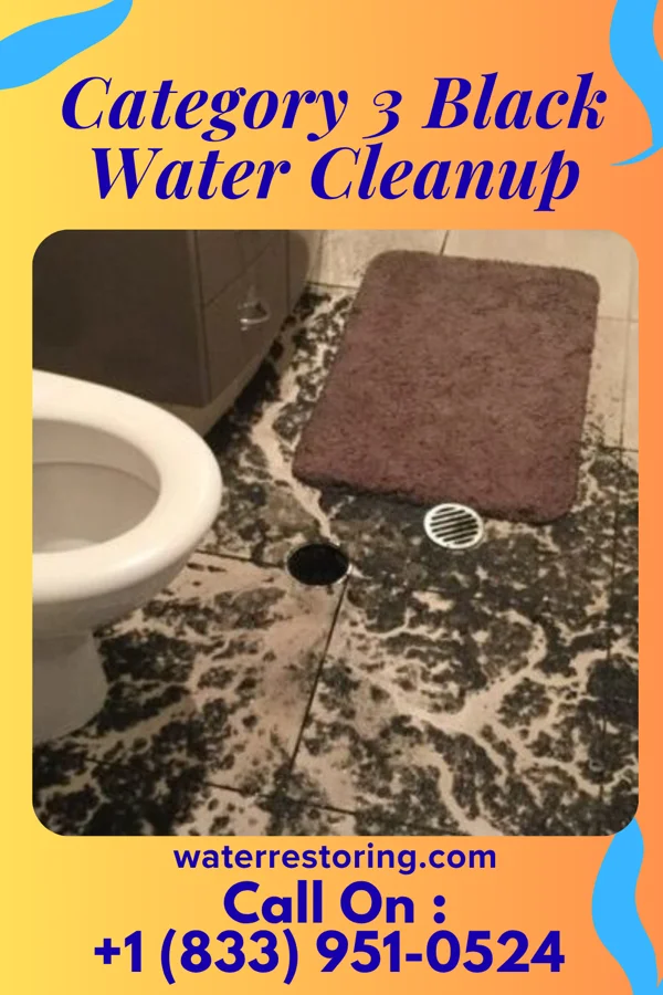 Category 3 Black Water Cleanup in State Line City, IN
