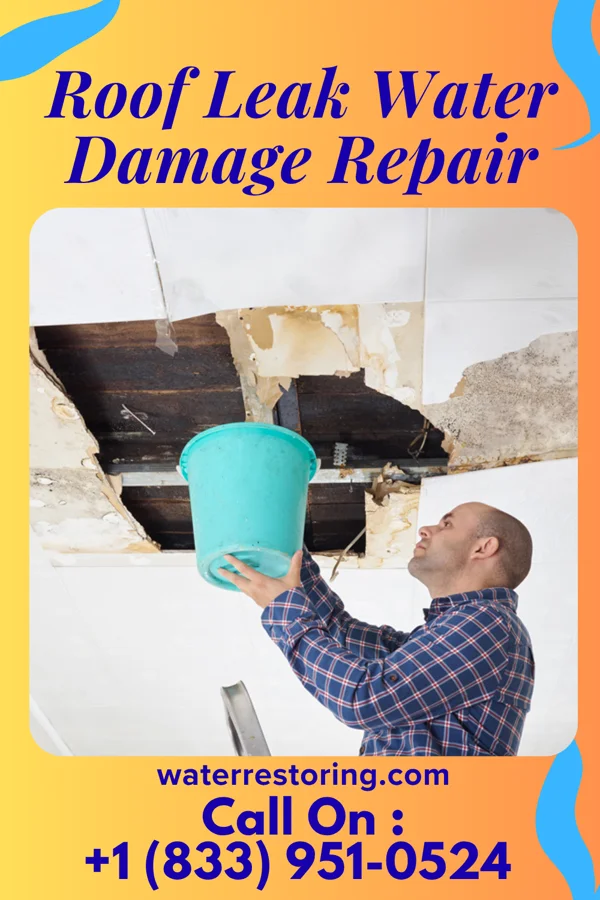 Roof Leak Water Damage Repair in State Line City, IN