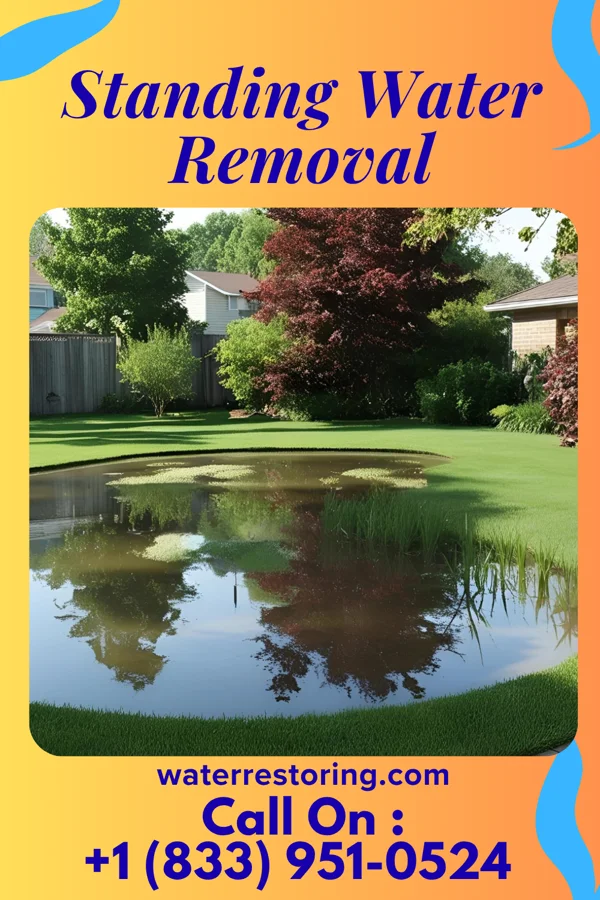 Standing Water Removal in State Line City, IN